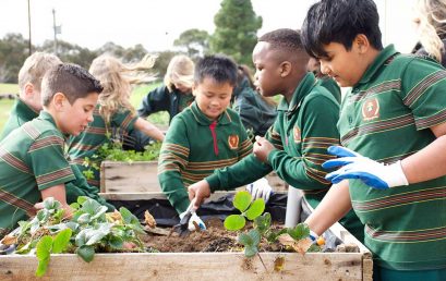 Year 4 Sustainability Garden