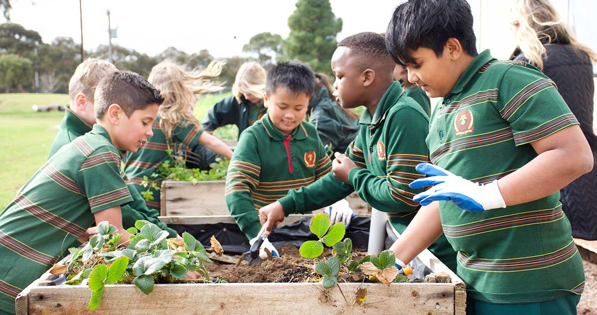 Year 4 Sustainability Garden